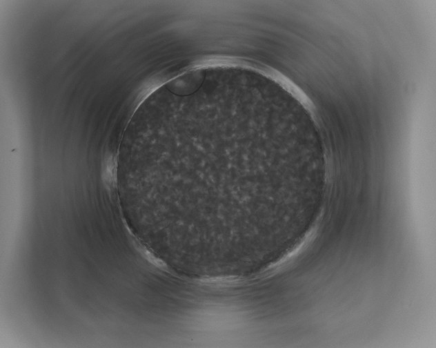 X0000111420953200908031302