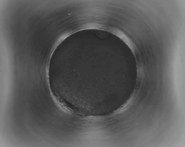 X0000111420954200908031302