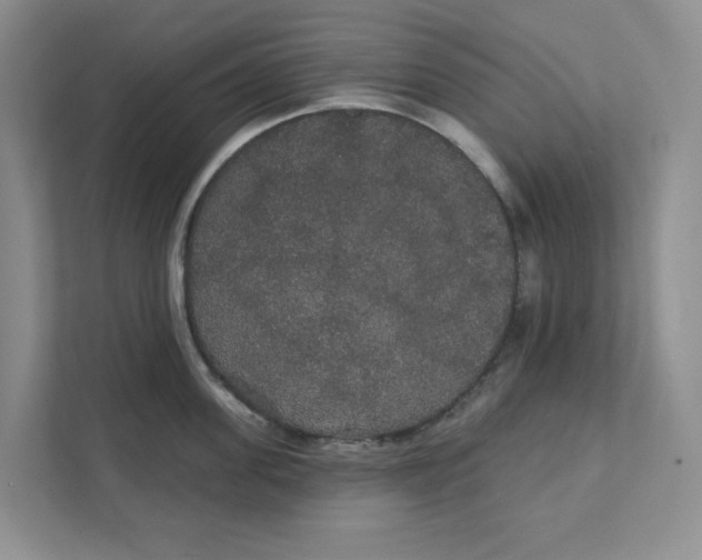 X0000111420955200908031302