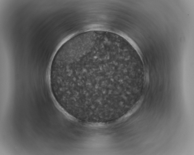 X0000111420957200908031302