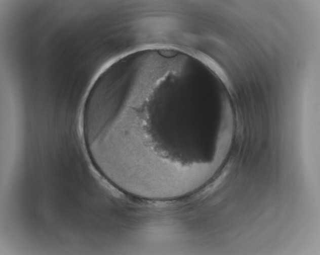 X0000111420958200908031302