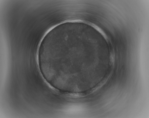 X0000111420959200908031302