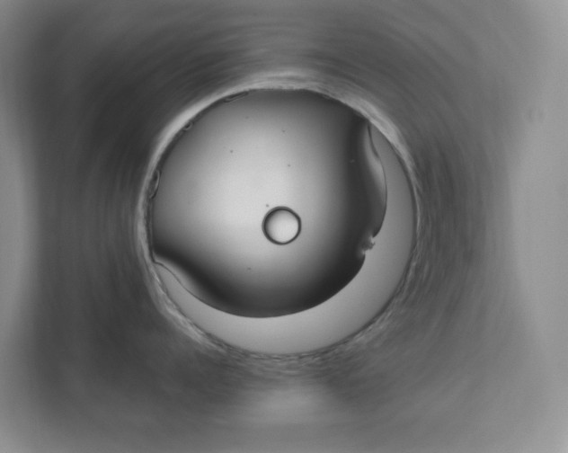 X0000111420960200908031302