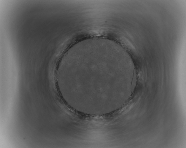 X0000111420961200908031302