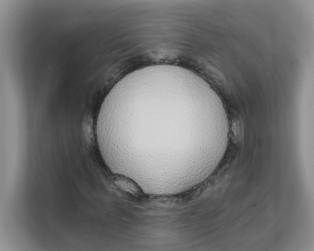 X0000111420963200908031302