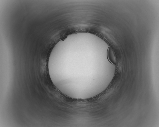 X0000111420964200908031301