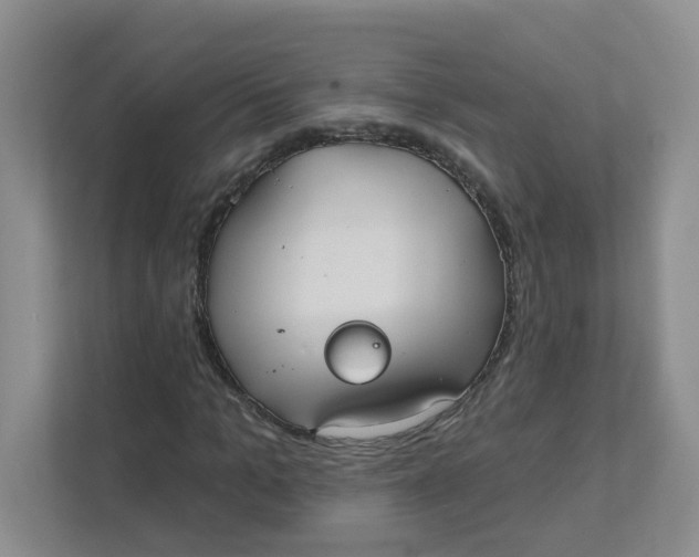 X0000111420965200908031301