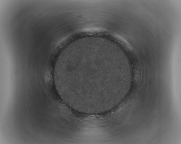 X0000111420966200908031301