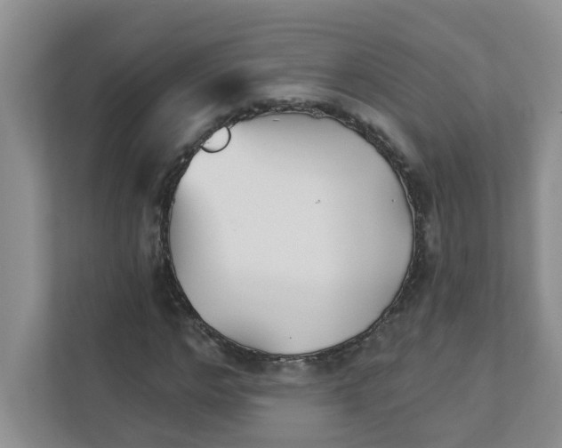 X0000111420968200908031301