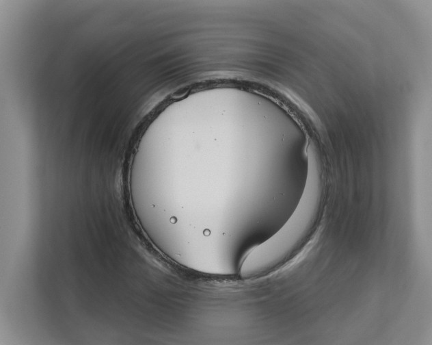 X0000111420969200908031301