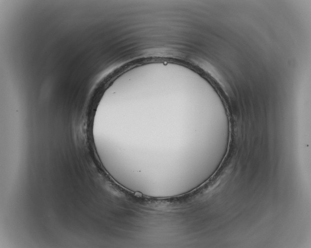 X0000111420971200908031301