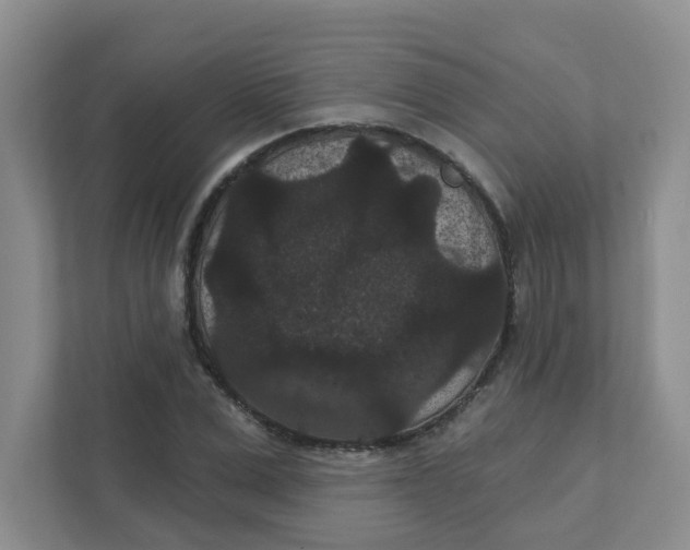 X0000111420975200908031301