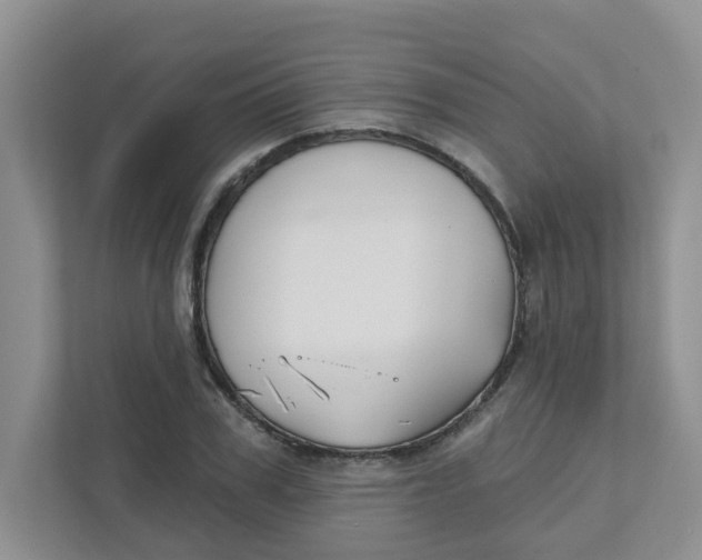 X0000111420979200908031301