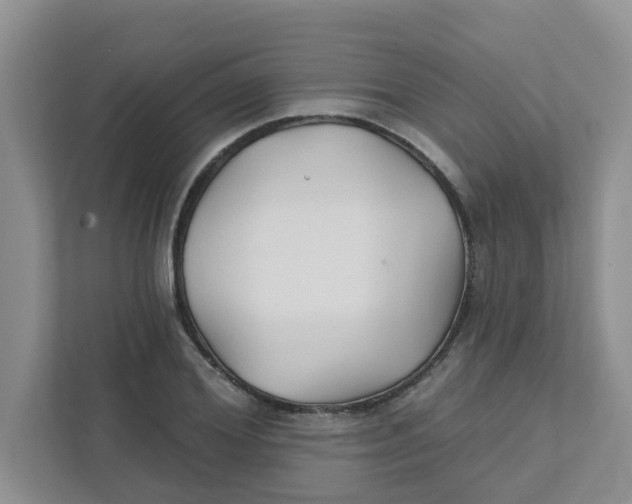 X0000111420980200908031301