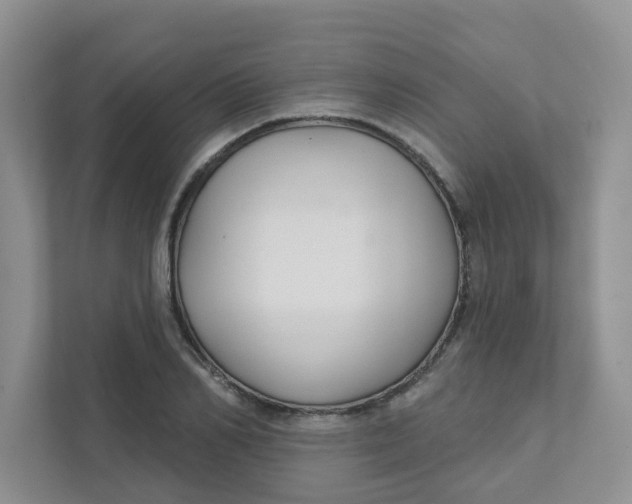 X0000111420982200908031301