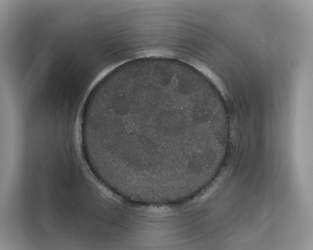 X0000111420983200908031301