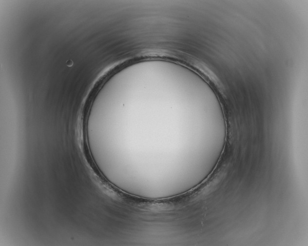 X0000111420984200908031301