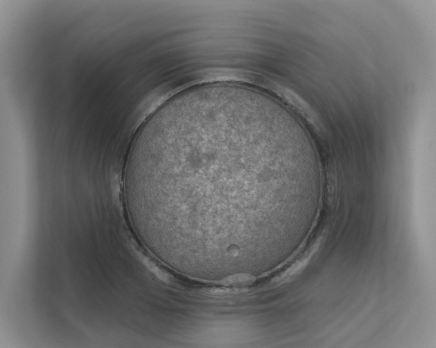 X0000111420985200908031301