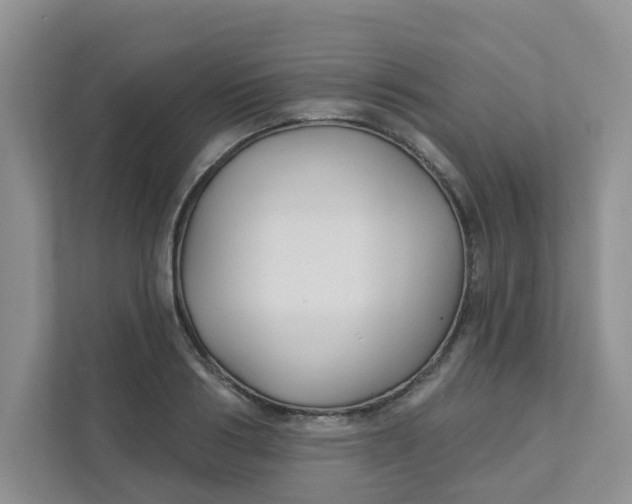 X0000111420986200908031301