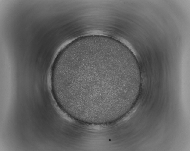 X0000111420987200908031301