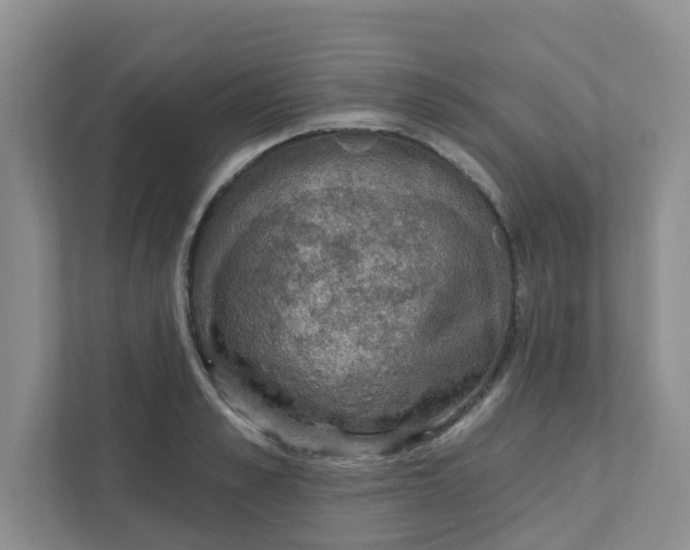 X0000111420989200908031301