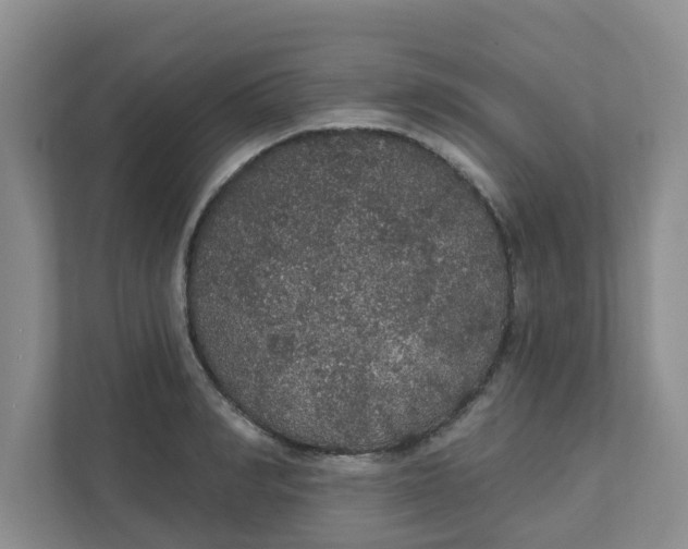 X0000111420990200908031301