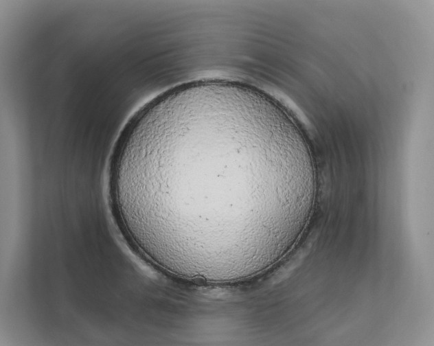 X0000111420991200908031301