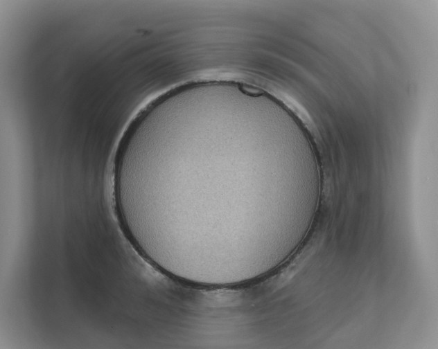 X0000111420992200908031301