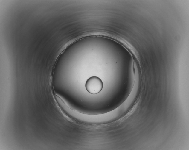 X0000111420993200908031301