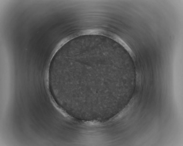 X0000111420994200908031301