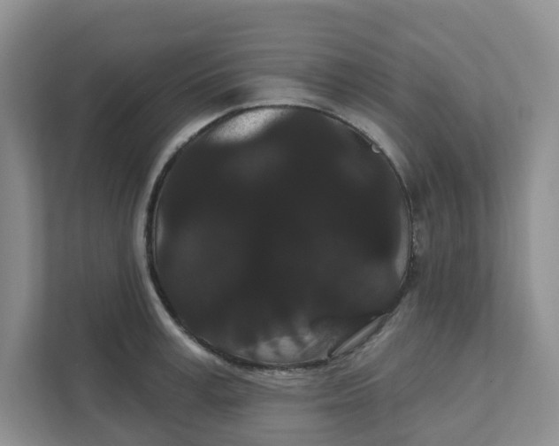 X0000111420995200908031301