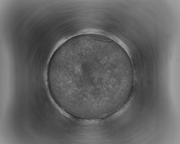 X0000111420997200908031301