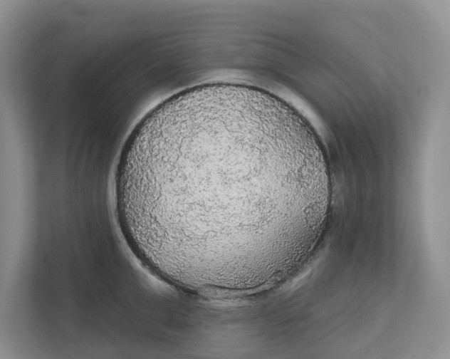 X0000111420999200908031301