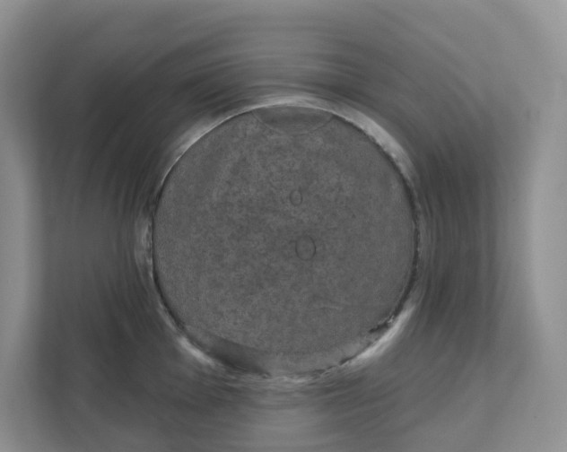 X0000111421001200908031301