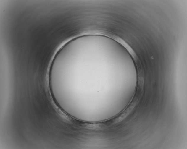 X0000111421004200908031301