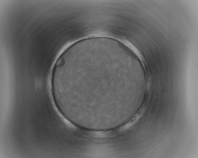 X0000111421005200908031301