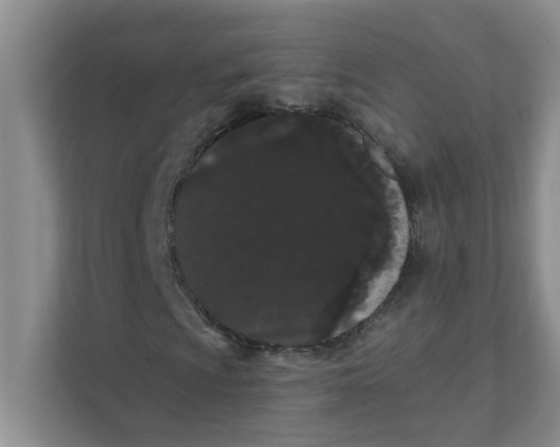 X0000111421009200908031300