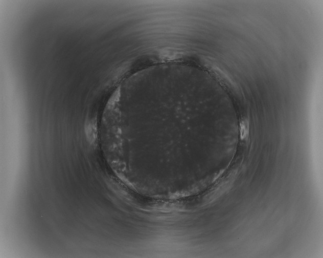 X0000111421011200908031300