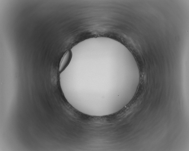 X0000111421012200908031300