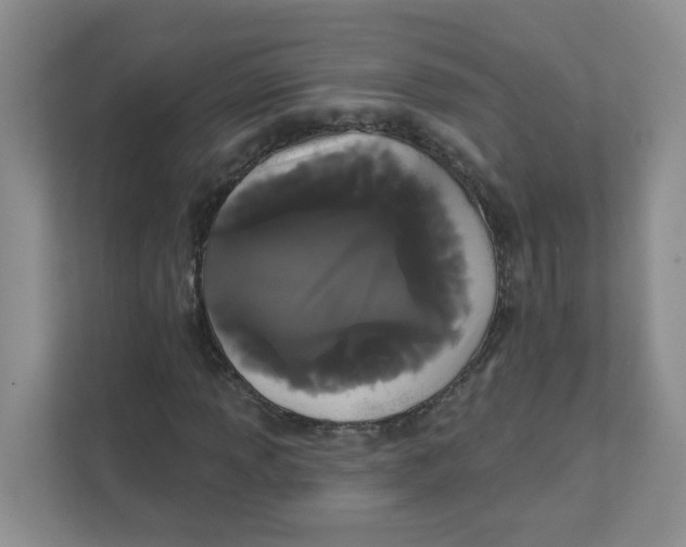 X0000111421013200908031300