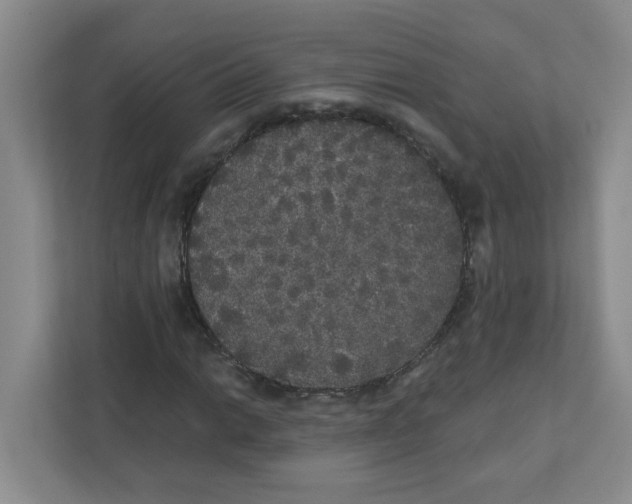 X0000111421014200908031300