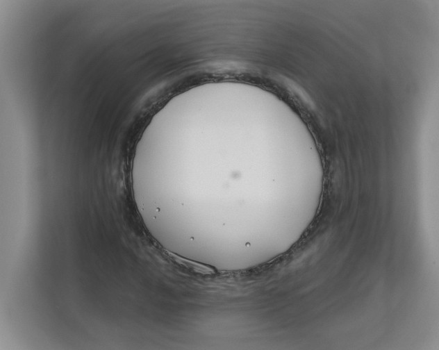 X0000111421016200908031300