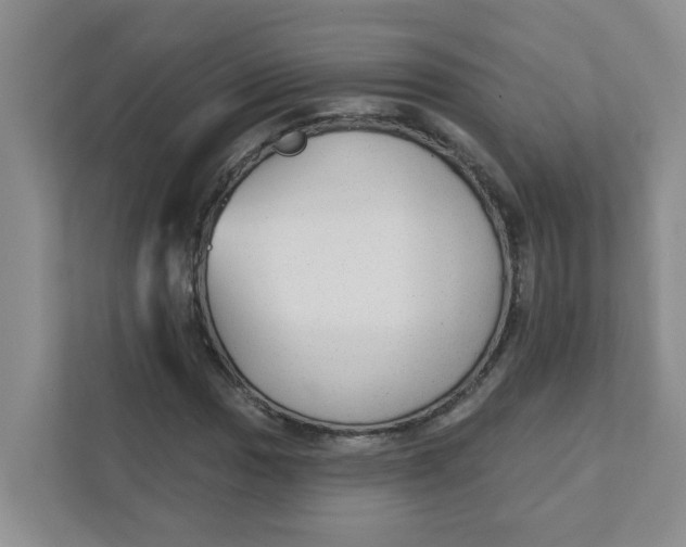 X0000111421017200908031300