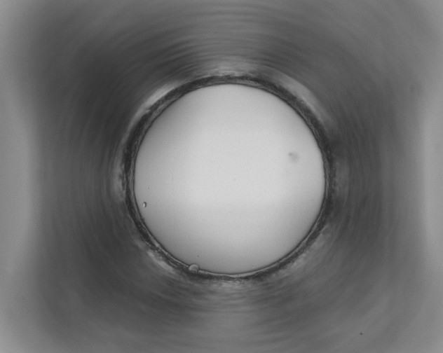 X0000111421018200908031300