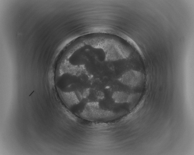 X0000111421019200908031300