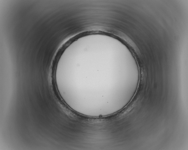 X0000111421020200908031300