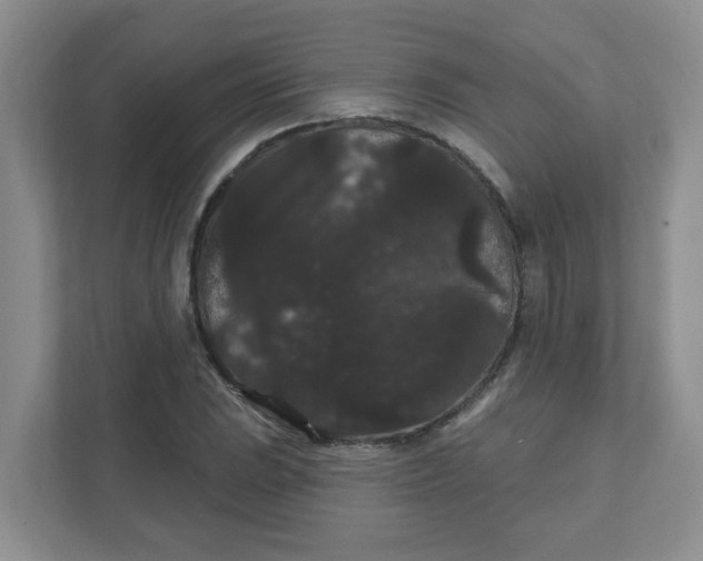 X0000111421023200908031300