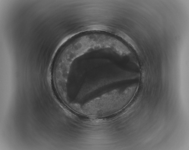 X0000111421024200908031300