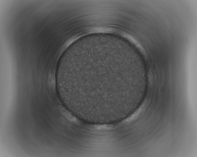 X0000111421025200908031300