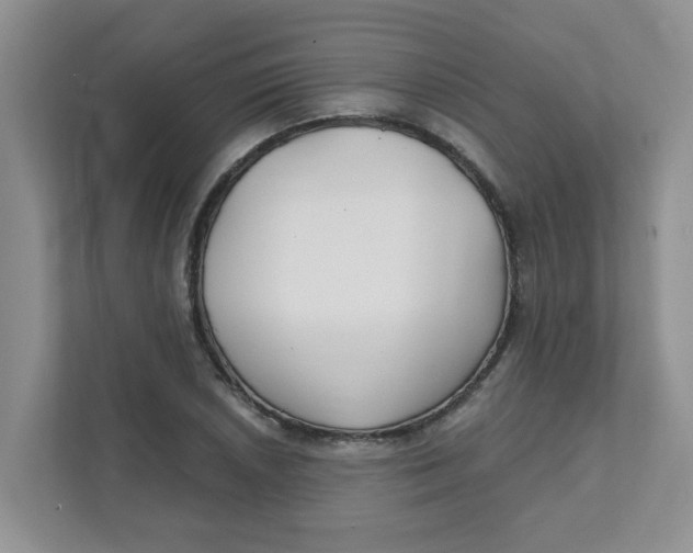 X0000111421026200908031301